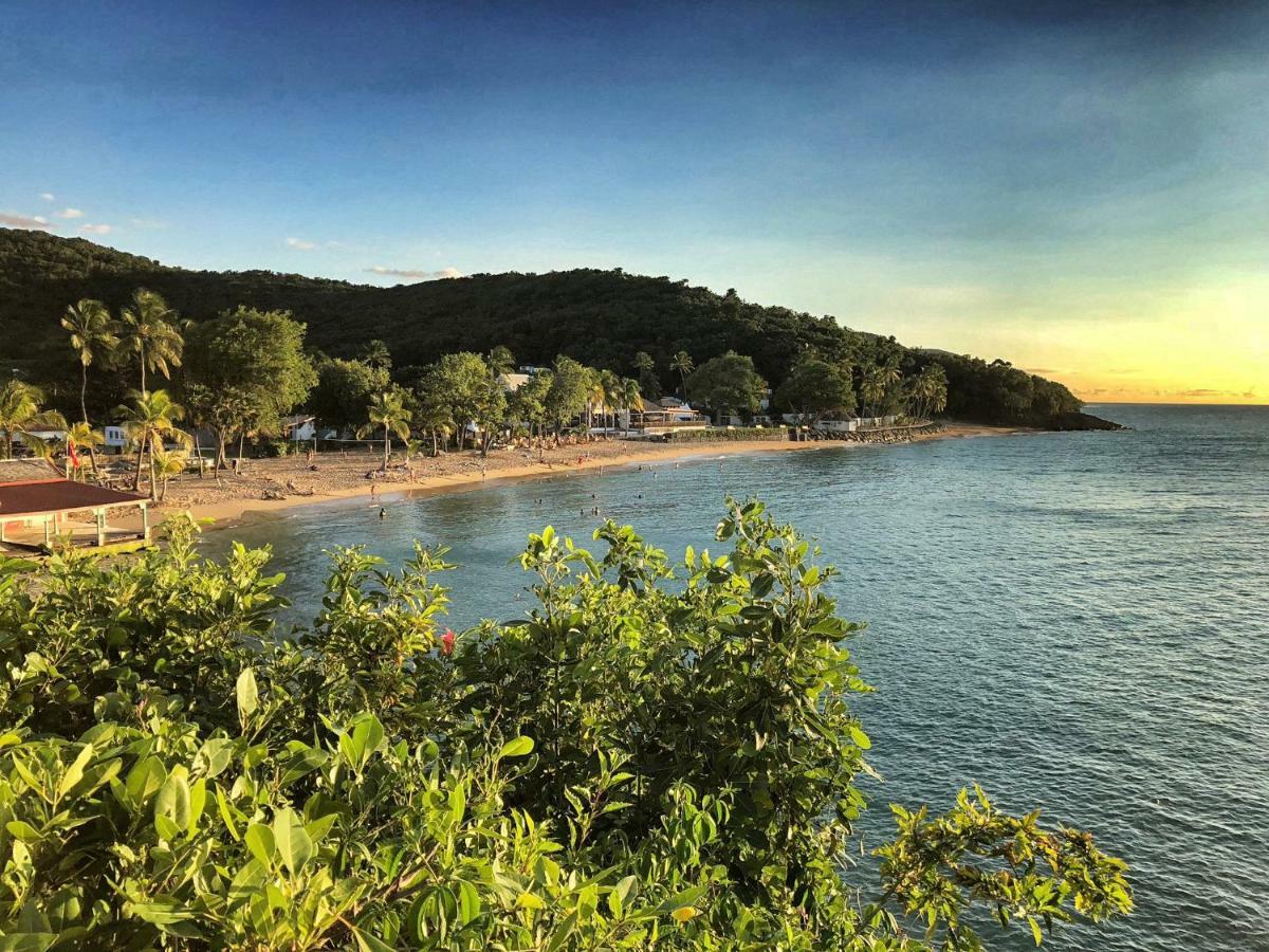 Gites Atemoya. Petit Bas Vent Fort Royal. Deshaies Εξωτερικό φωτογραφία
